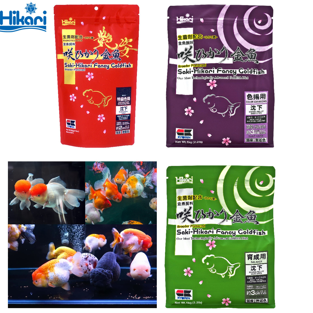 Mangime Per Pesci Rossi Hikari Saki-Hikari - 200g Con Probiotici Per Colorazione Intensa - Foto 14