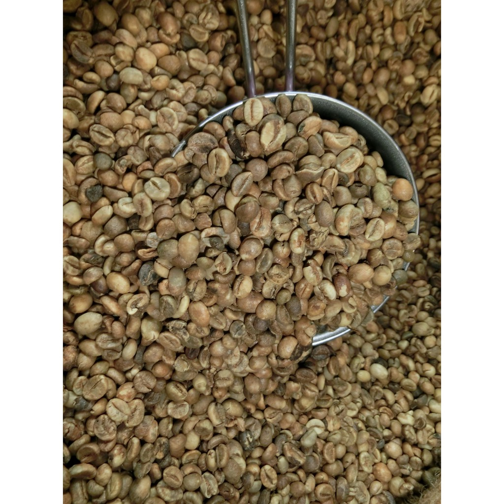 Raw unroasted Coffee Bean biji kopi mentah kampung Indonesia Robusta ...