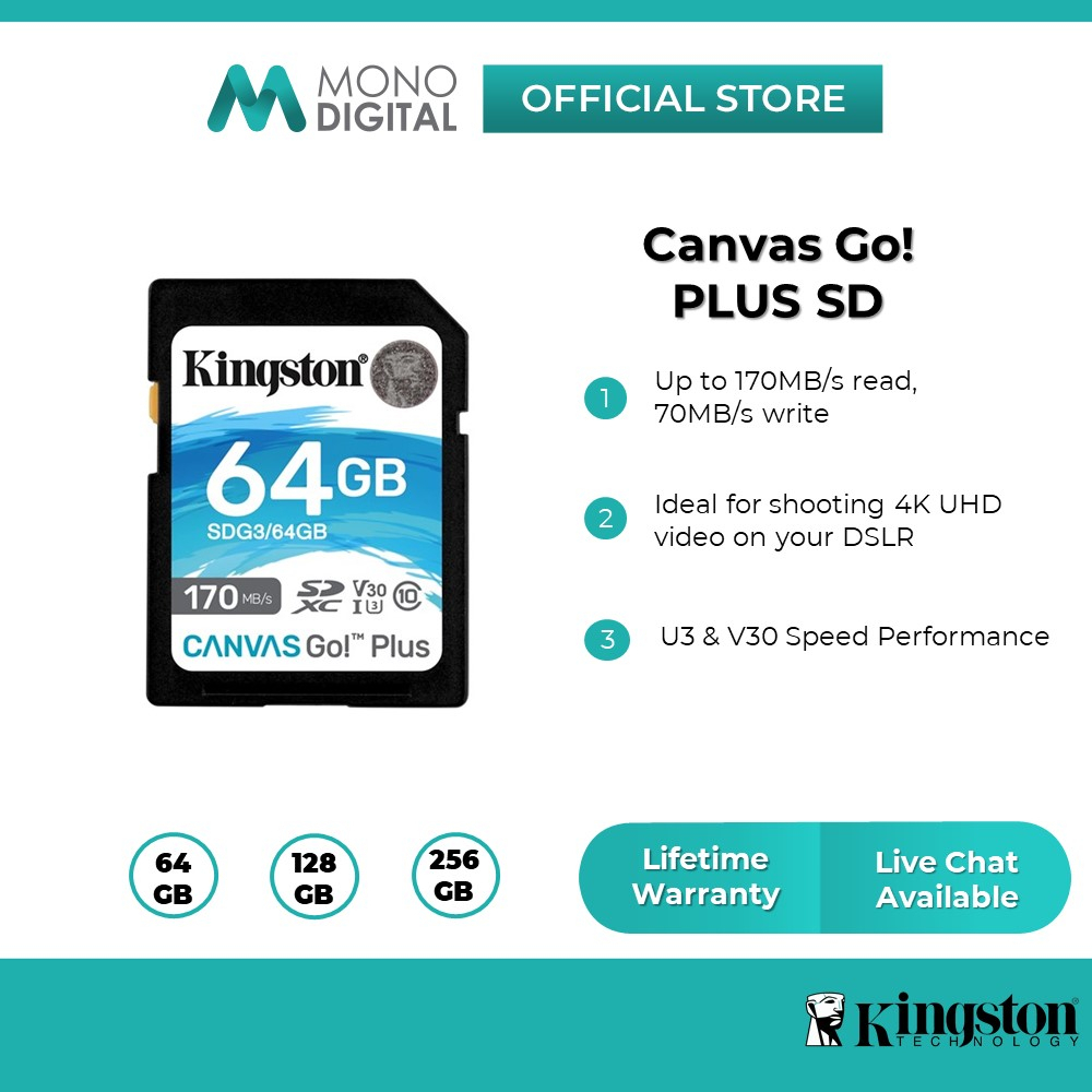 Kingston 256GB SDXC Canvas Go Plus 170MB/s Read UHS-I, C10, U3, V30 Memory  Card (SDG3/256GB)