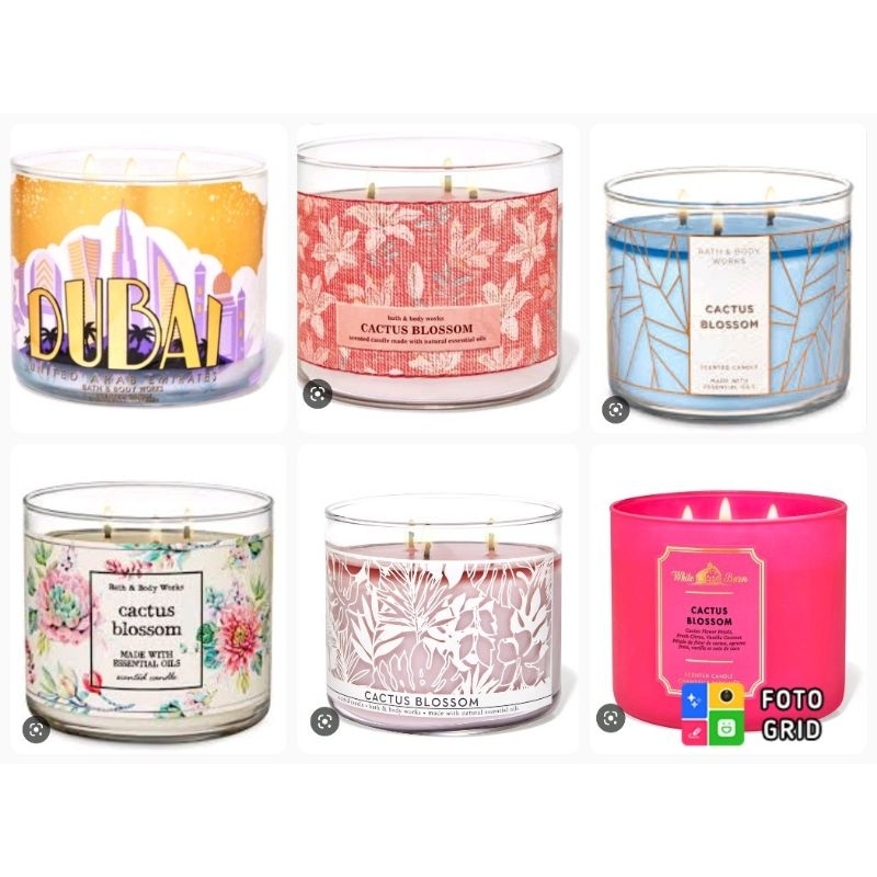 bath body works cactus blossom 3 wick candle | Shopee Malaysia