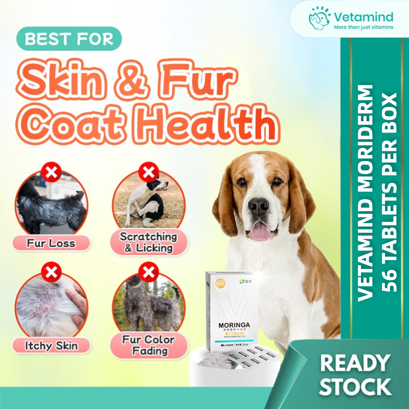 Vetamind MoriDerm Moringa(Box) Skin Coat Enhancer Dog Allergic Hair