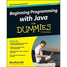 Beginning Programming with Java For Dummies (DEFECT) | Shopee Malaysia