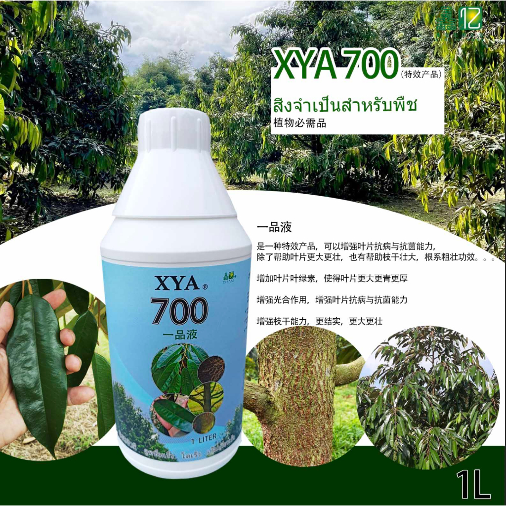 XYA 700 -SPECIAL PRODUCT- 1 LITER | Shopee Malaysia