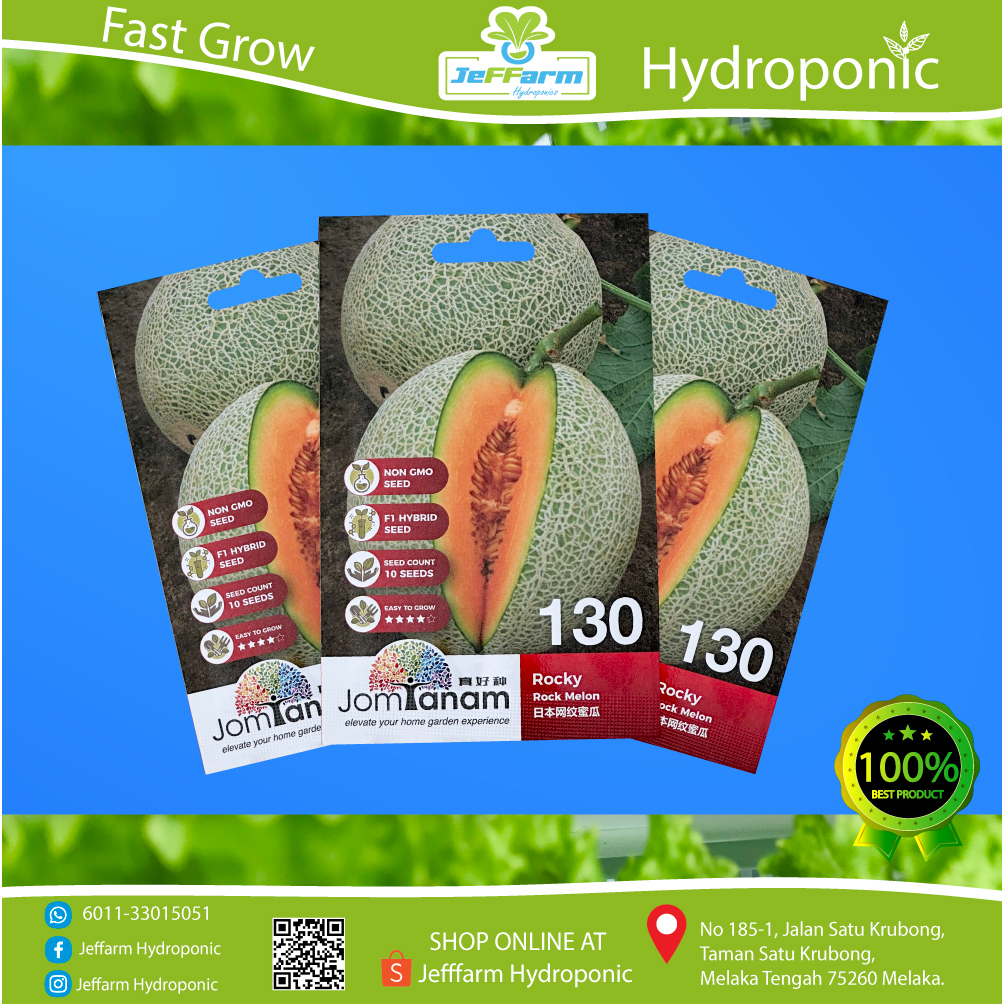 1 PKT ROCK MELON ROCKY JEFFARM HYDROPONIC Shopee Malaysia