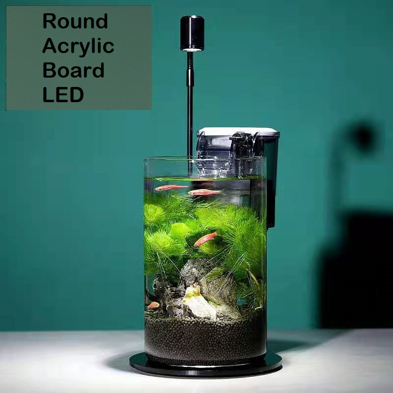 Warranty Terrarium Light Round Acrylic Board LED White Warm Light 3W