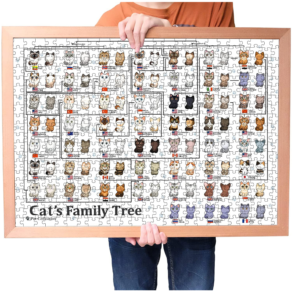 [Ready Stock][Birthday Gift] Botop Jigsaw Puzzle 1000PCS (70X50CM ...
