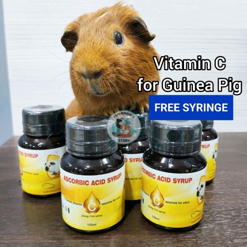 FREE SYRINGE! 💉 Ascorbic Acid Syrup / Vitamin C Liquid for Guinea Pig