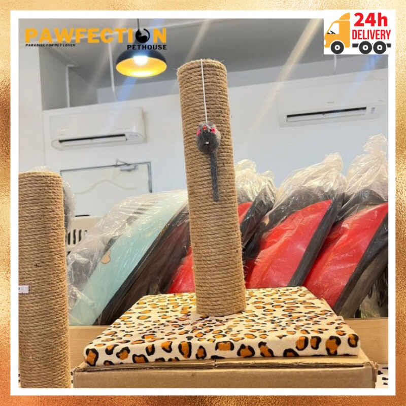 Cat Scratch Play Bed Toy with Mouse 50cm Pet Cat Scratcher SEAGRASS