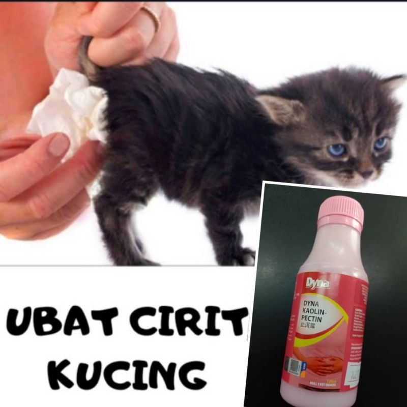 Ubat Cirit Birit Kucing 120ml Shopee Malaysia