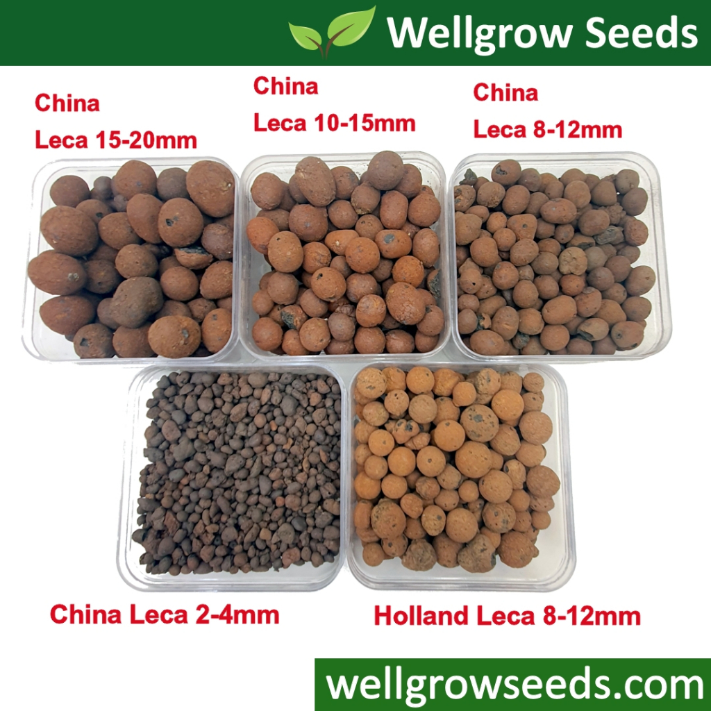1L Leca Ball (Various Size) 荷兰陶粒 (Clay Pebbles / Clay Balls / LECA