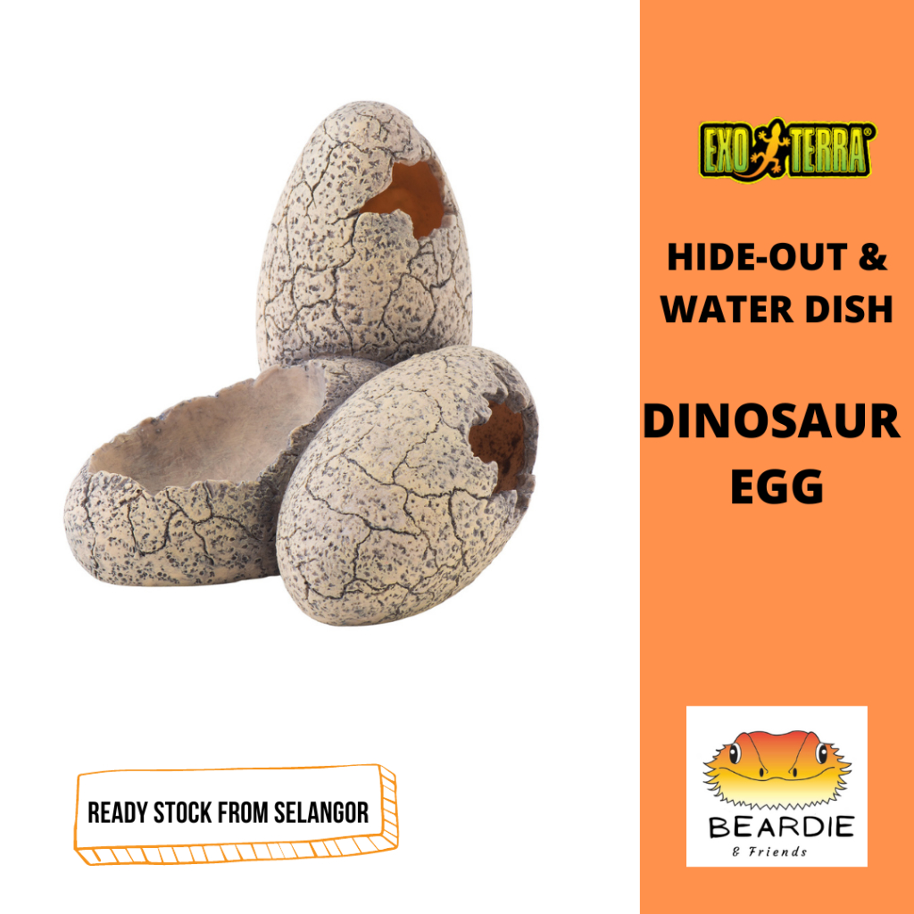 EXO TERRA DINOSAUR EGG HIDE OUT CAVE AND WATER DISH SMALL REPTILES PT2840 Shopee Malaysia