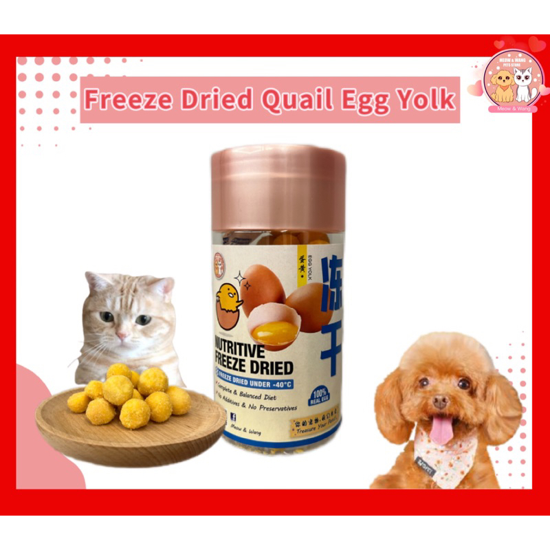 【meownwang】PREMIUM Freeze Dried Quail Egg Yolk 100g Pet Snack Pet Food