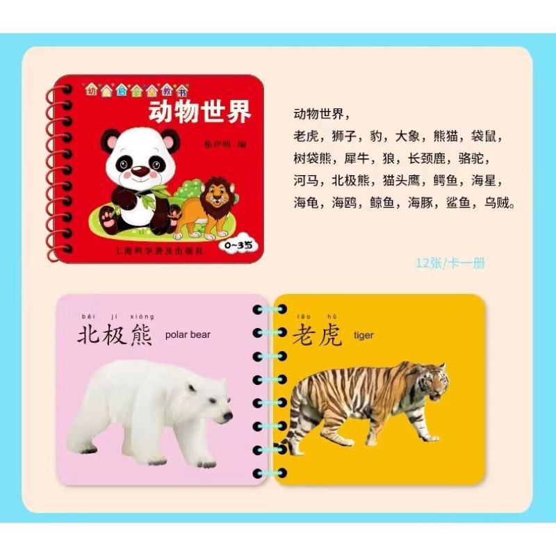 Early Learning Flash Card for Baby Big Flash Card for Kids Educational ...