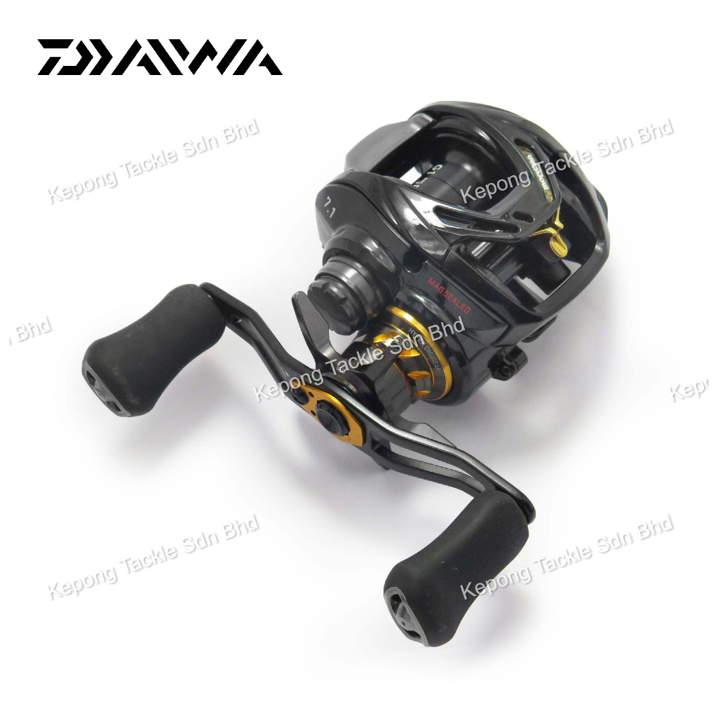 NEW 19 DAIWA Fishing reel MORETHAN PE1000 TW Baitcasting Reel Made