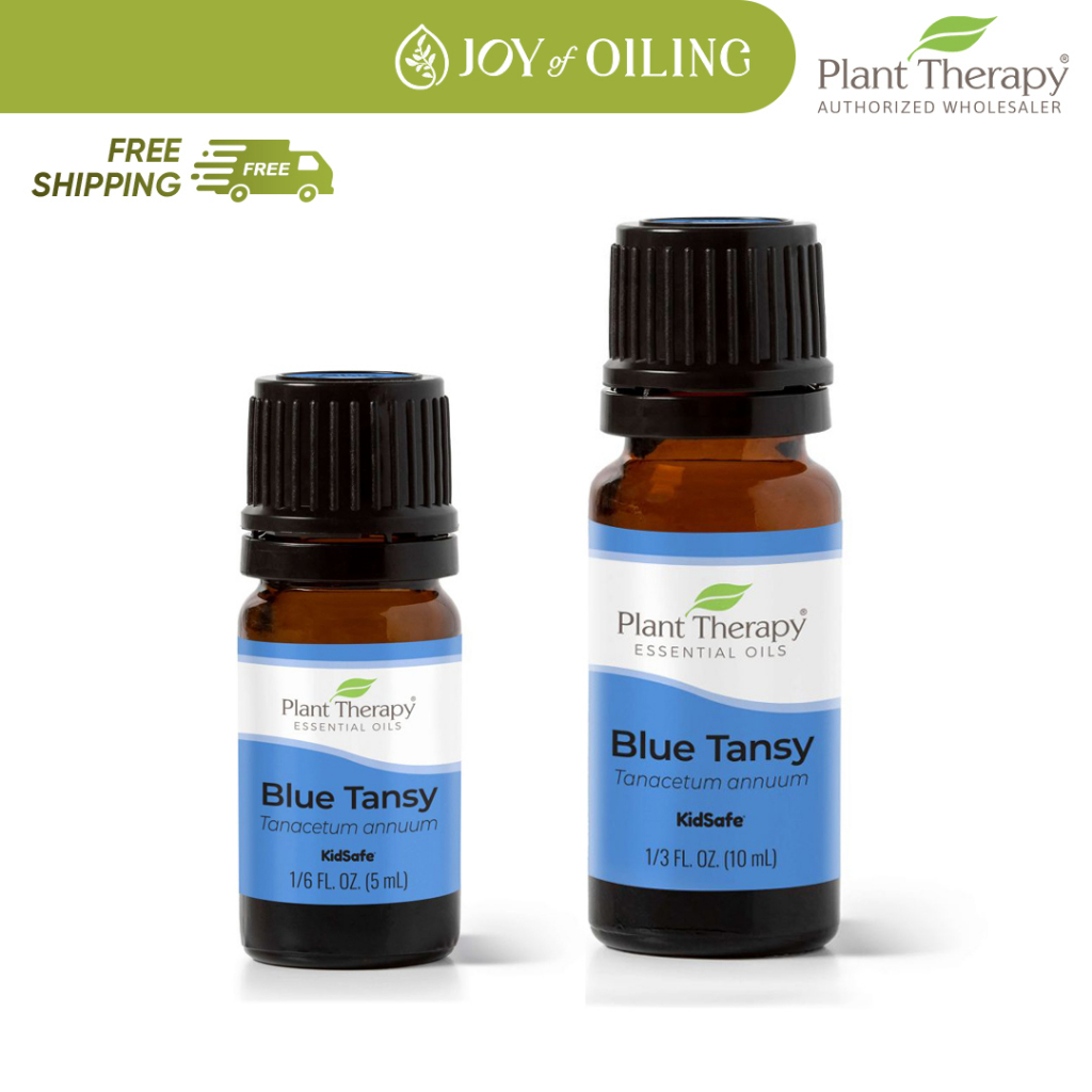 PLANT THERAPY Blue Tansy Essential Oil (5ml/10ml) | Shopee Malaysia