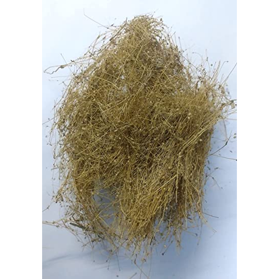 carpetweed Parpadagam dried whole herba (Mollugo pentaphylla) Taph jhad ...
