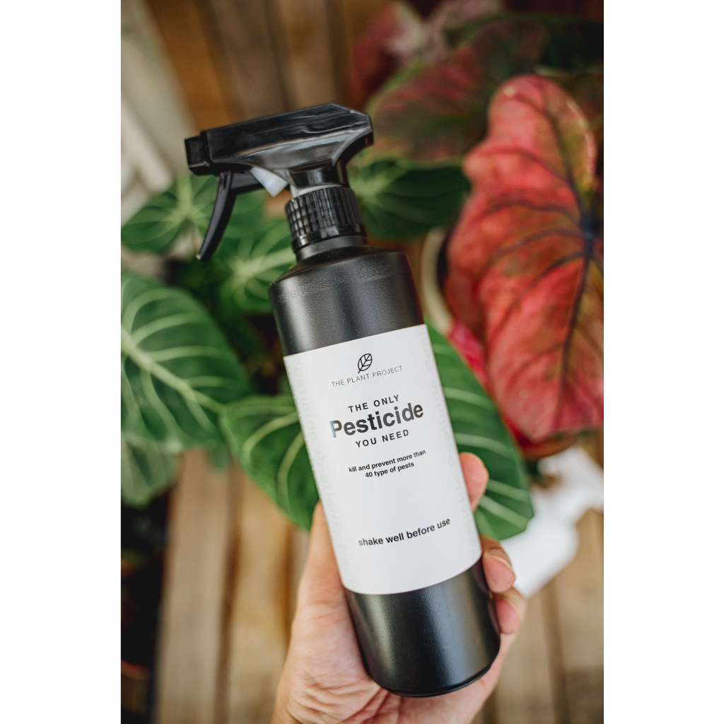 All in one Pesticide Pesticides Spray For Plant Red spider mealy bug