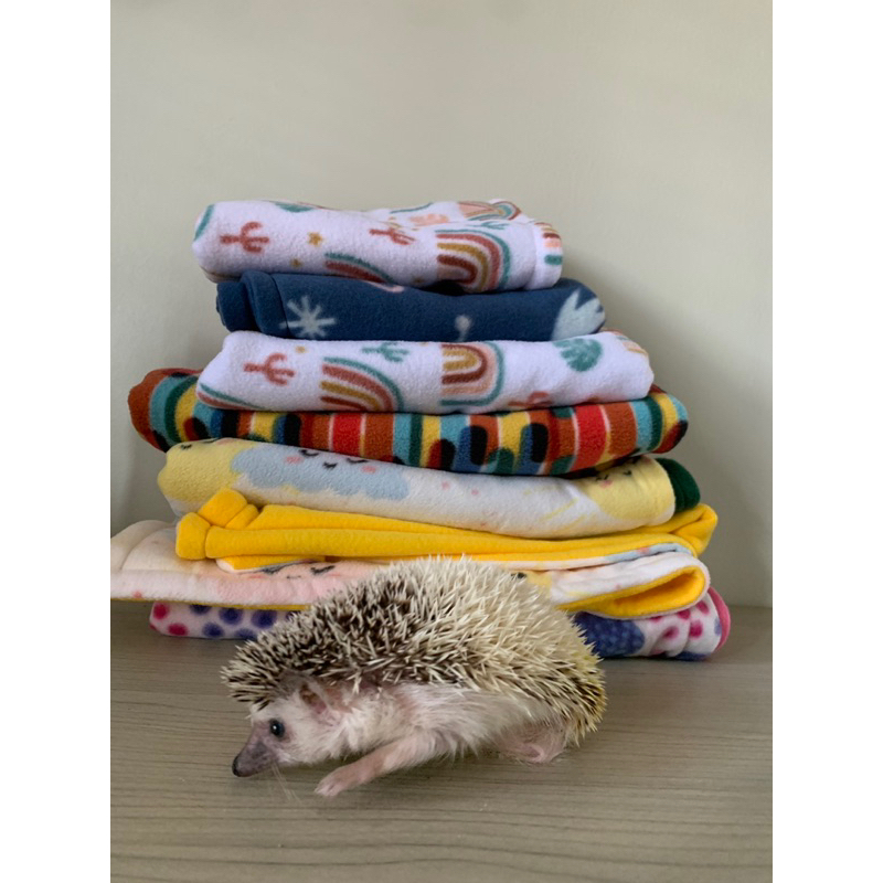 Custom Fleece Bedding for Hedgehog, Guinea pig, Cat (Please chat first