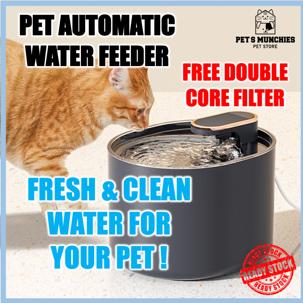 Auto water feeder for hot sale cats