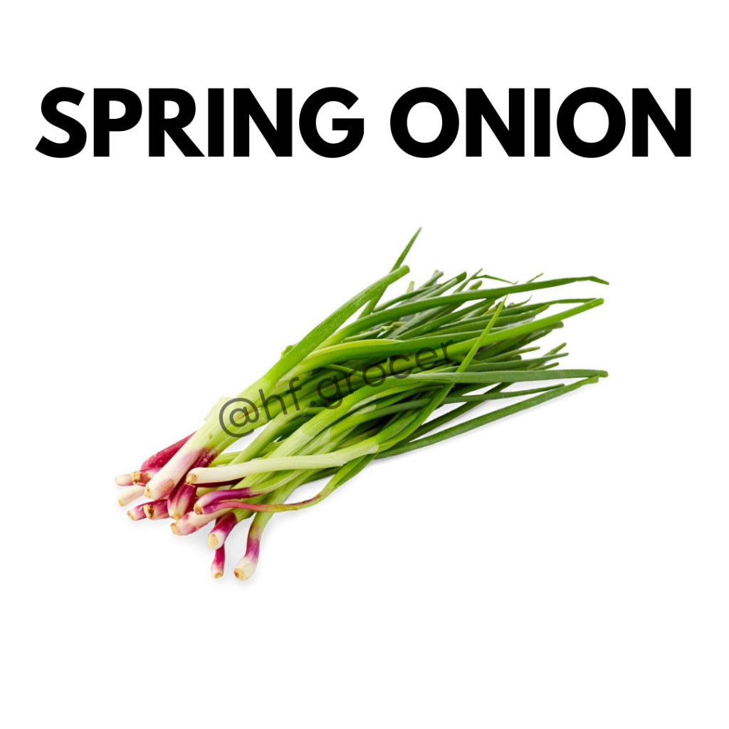Spring Onion 100g Daun Bawang Fresh Vegetable | Shopee Malaysia