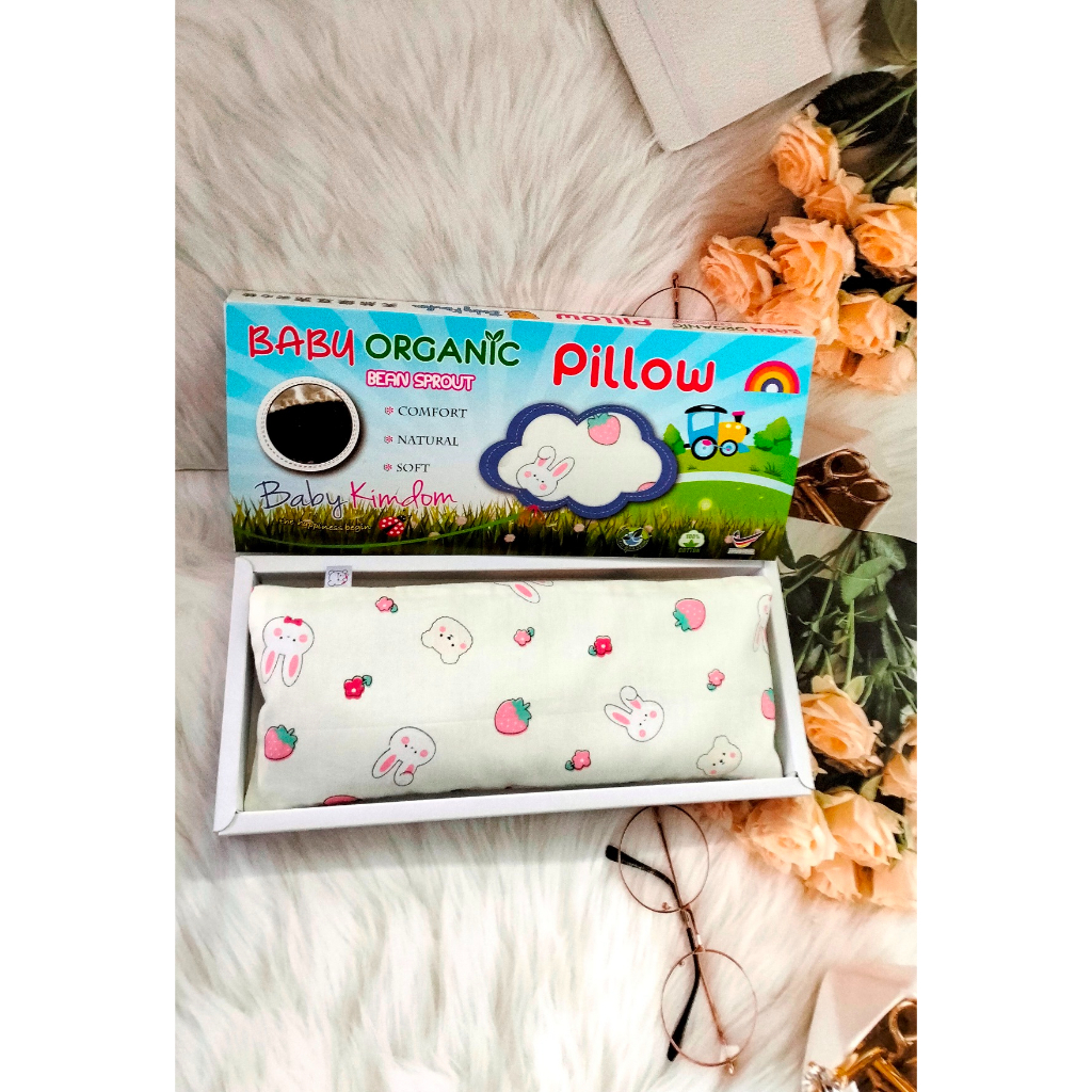 Baby Organic Pillow Filing with Bean Sprout Husk / Buckwheat Hull