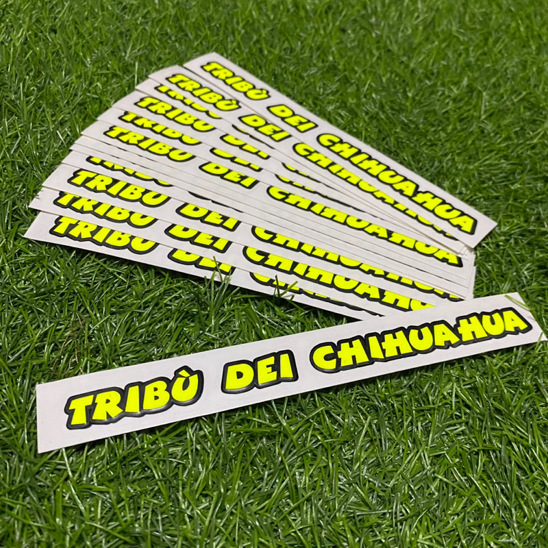6 Fluorescent Yellow Stripes Hi-Viz Motorcycle Helmet Decals – ORACAL Vinyl Stickers