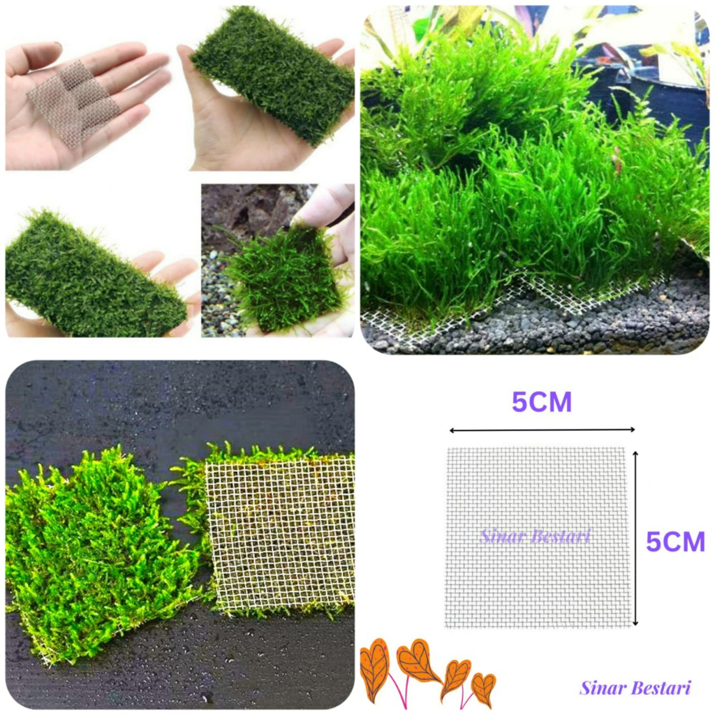 LINLAN 9 PCS Aquarium Moss Mesh – 3.1x3.1 Inch 304 Stainless Steel Sheets For Aquatic Moss, DIY Aquascaping, Shrimp Tanks & Filtration