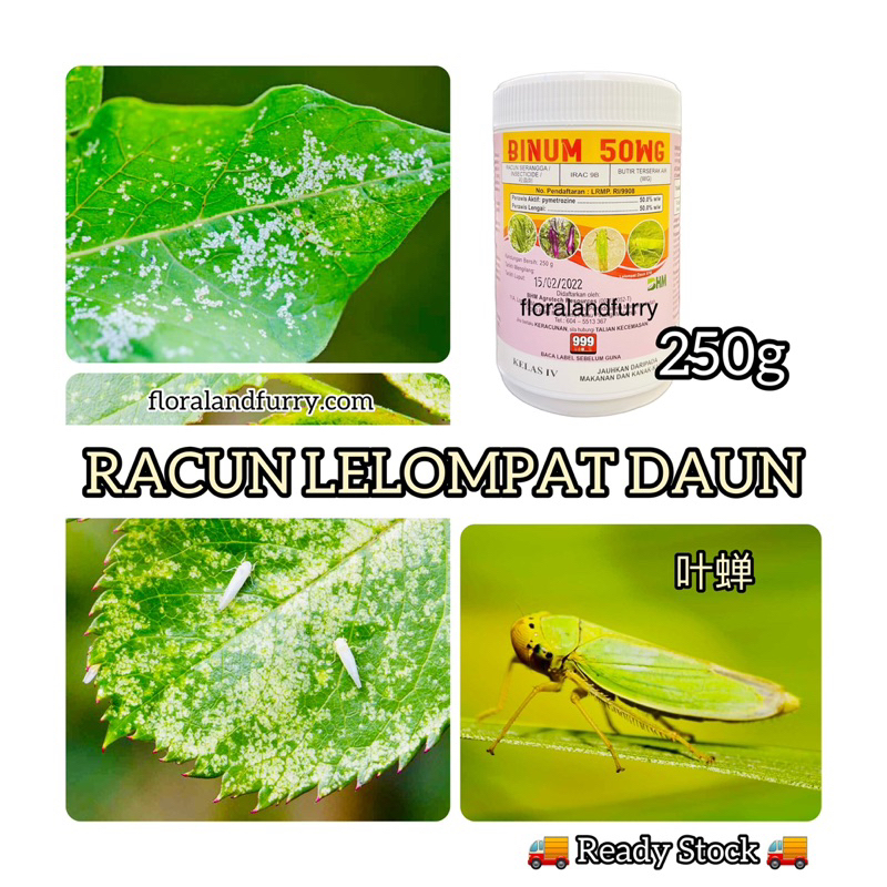 250g Binum 50WG Racun Serangga Lelompat Daun Pokok Terung Bendi Okra ...