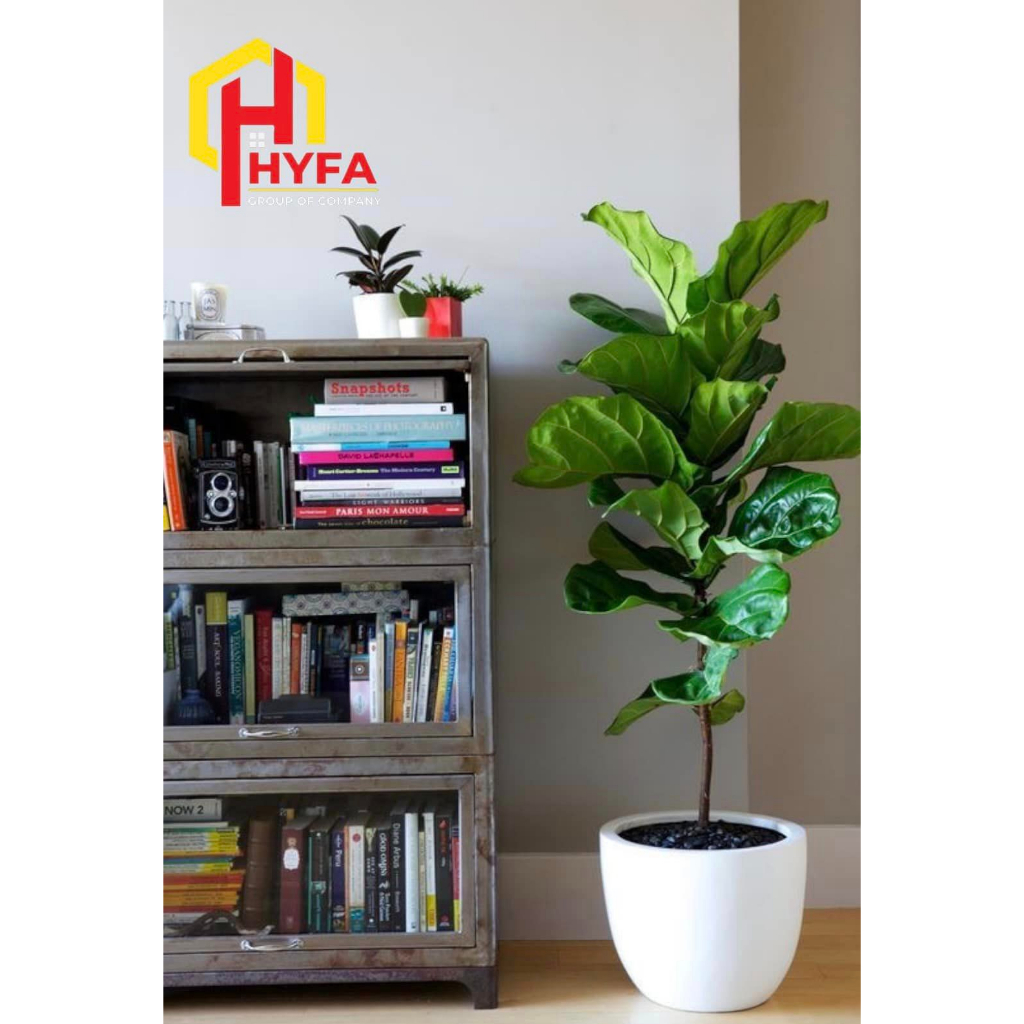 Artificial Fiddle Leaf Fig Tree | Shopee Malaysia