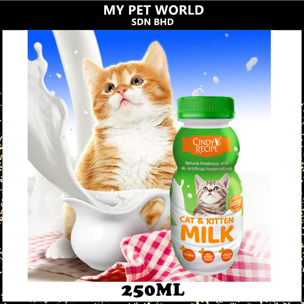 Curated visual reference: Homemade Lactose Free Cat Milk Recipe Reference: Cindy S Recipe Lactose Free Cat Kitten Milk 250Ml Susu
