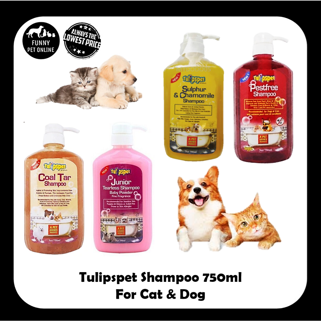 Coal tar and sulphur best sale dog shampoo