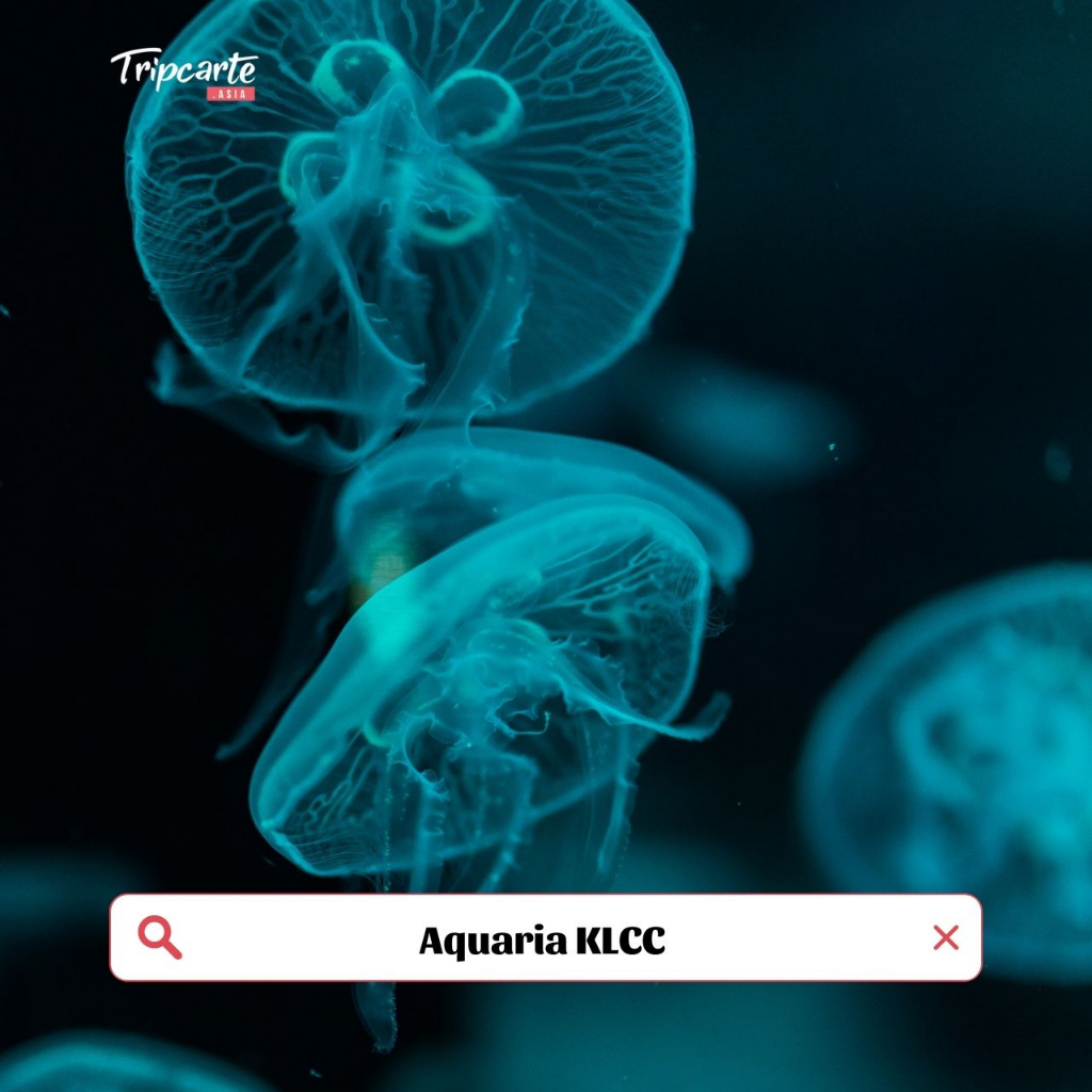 Aquaria KLCC Weekend [Tripcarte Asia] Shopee Malaysia