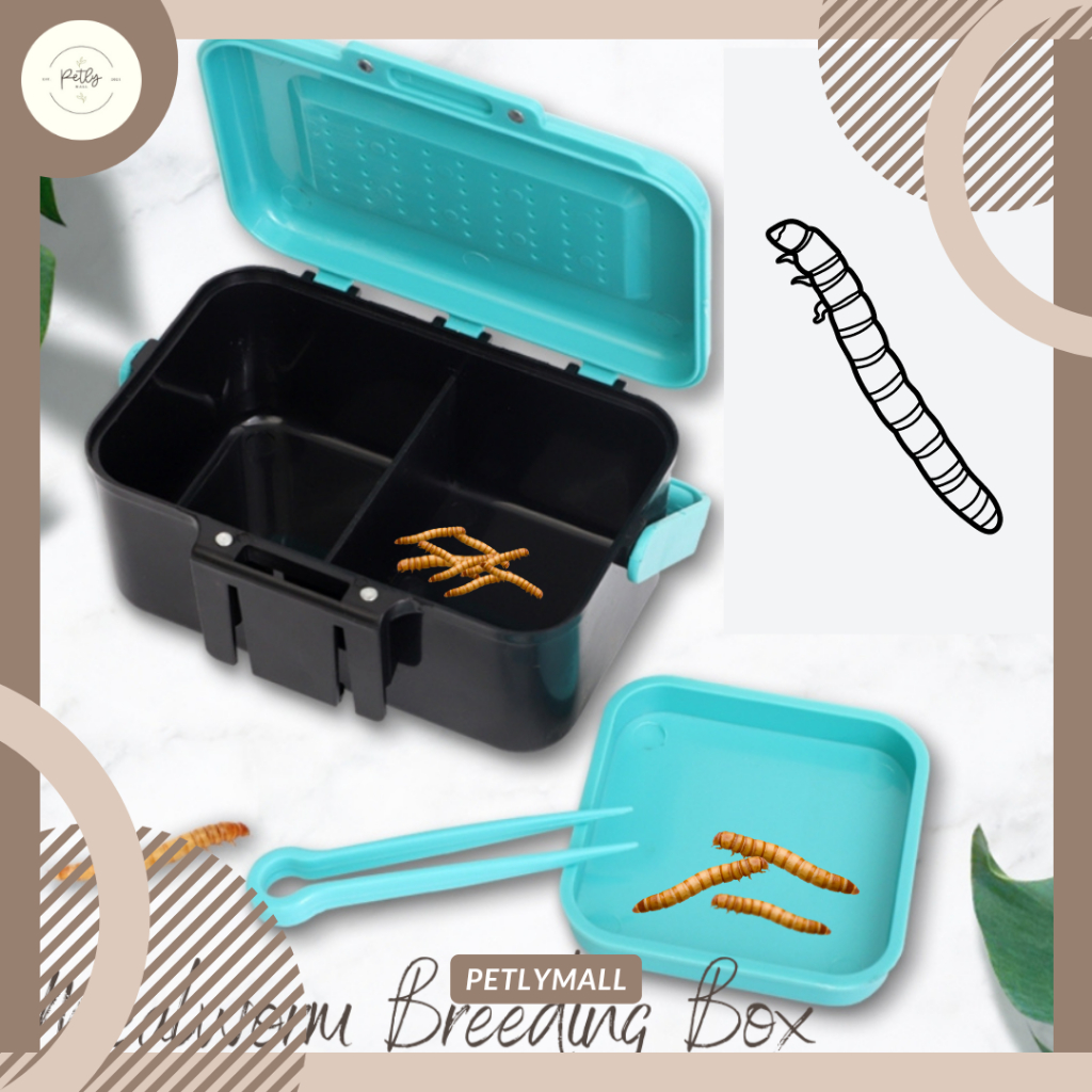 [PetlyMall] Mealworm Superworm Live Feeder Breeding Box With Tweezers ...