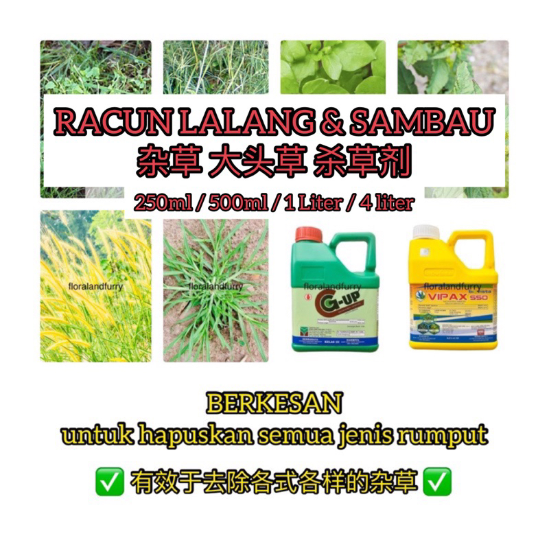 Weed Killer Herbicide Vipax 550 Ametryn 50 4l 杀草剂 Racun Rumput Rumpai