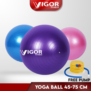 45-95CM Anti-Burst Yoga Ball Thickened Exercise Ball for Pilates Balance  Stability Workout Pregnancy Birthing Physical Therapy - AliExpress