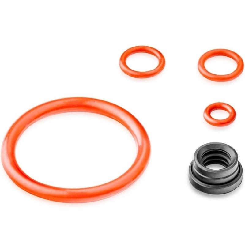 Philips Saeco Gasket Set for the water tank, brew unit and boiler