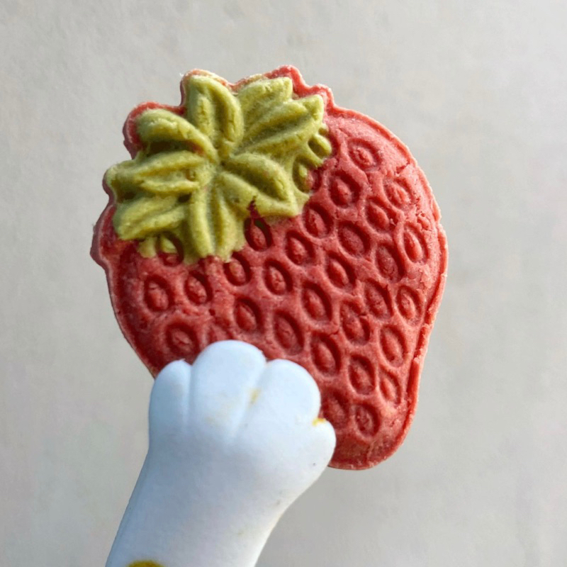 【100 NATURAL Pet Snacks/ Pet Treats】 HANDMADE Strawberry/ Pineapple