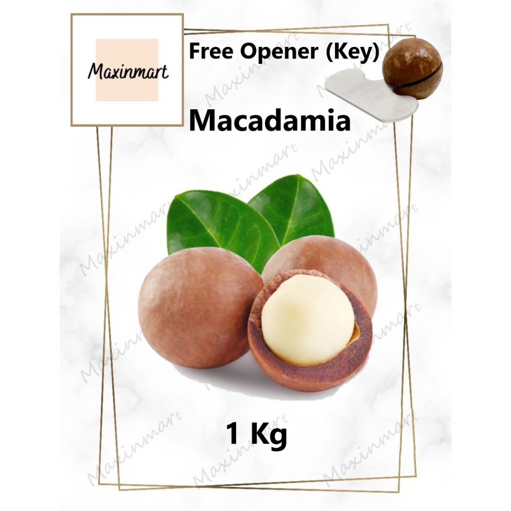 (Australia) 1kg Roasted Macadamia Nut with Shell - Healthy Snack ...
