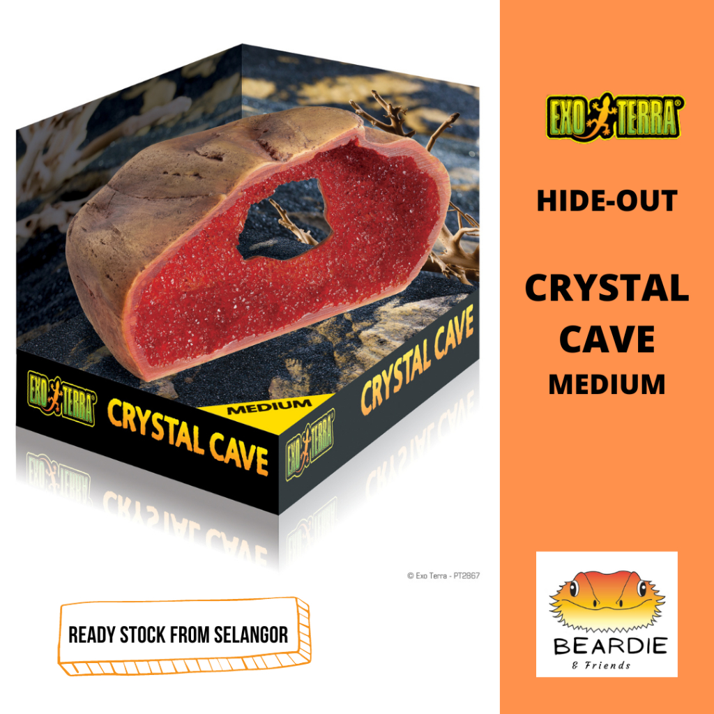 EXO TERRA CRYSTAL CAVE HIDEOUT MEDIUM REPTILES (PT2867) Shopee Malaysia