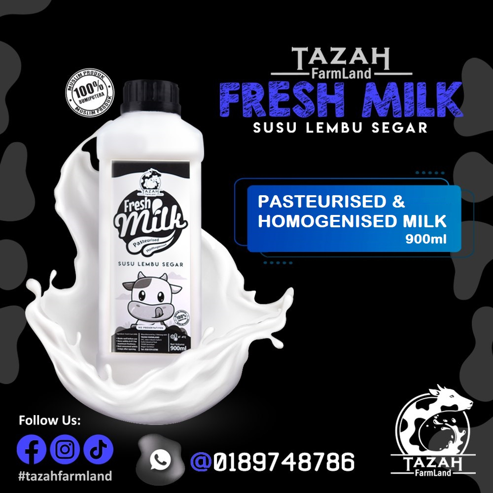 Pasteurized & Homogenized Tazah Milk / Fresh Cow Milk / SUSU LEMBU