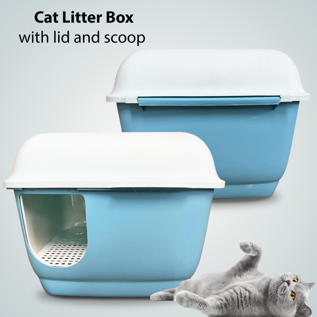 Cat litter hot sale box shopee