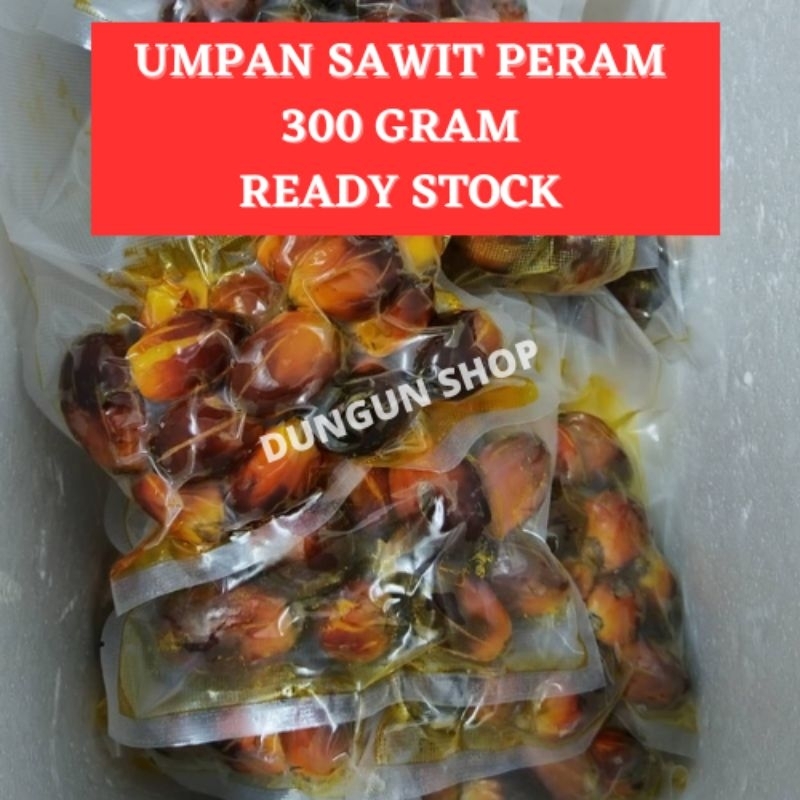 Umpan Buah Sawit Siap Peram G Buah Sawit Peram G Shopee Malaysia