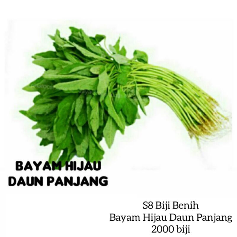 PILIHAN A 50 JENIS BENIH SAYURAN BERDAUN/BERBUAH/Vegetable Seeds ...