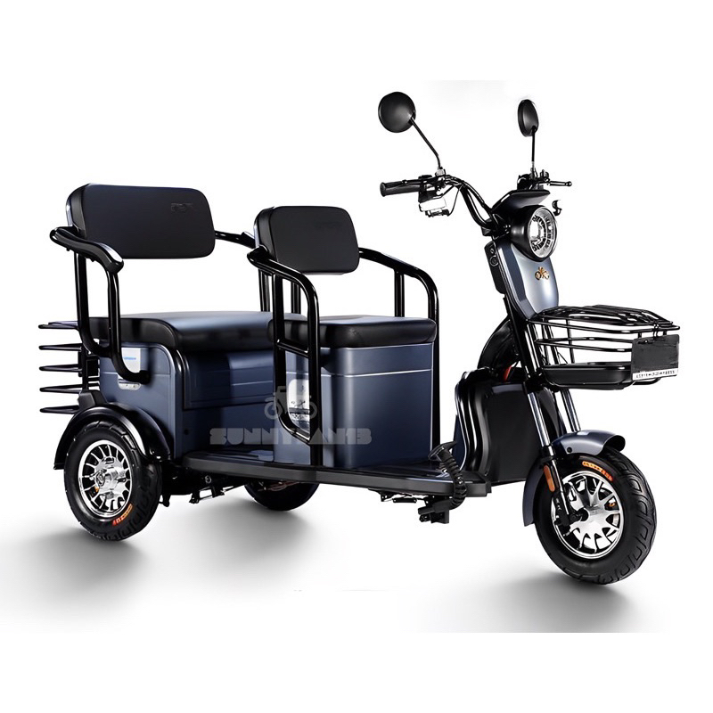 tailg e bike 3 wheel price list