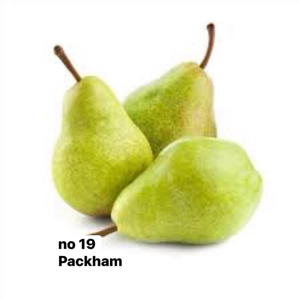 Anak Pokok Pear Pelbagai Jenis | Shopee Malaysia