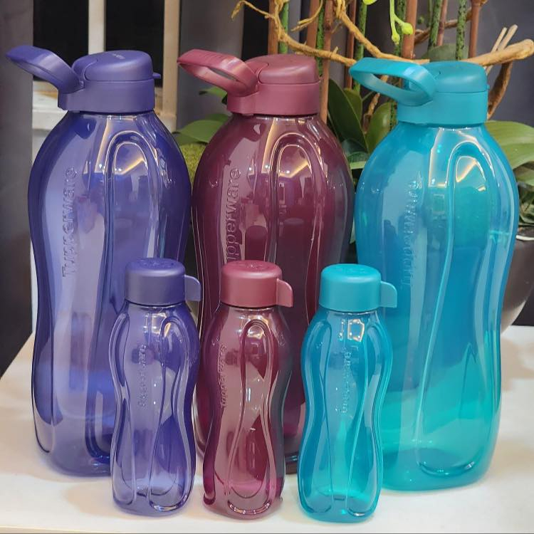Tupperware Limited Release Giant Eco Bottle 2L (1) with Handle / 310ml