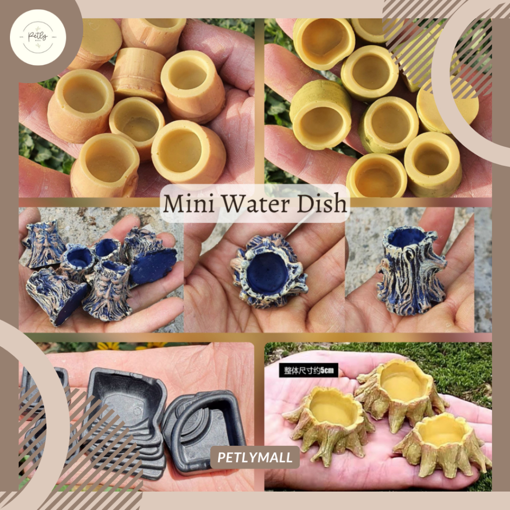 Homemade reptile water dish best sale