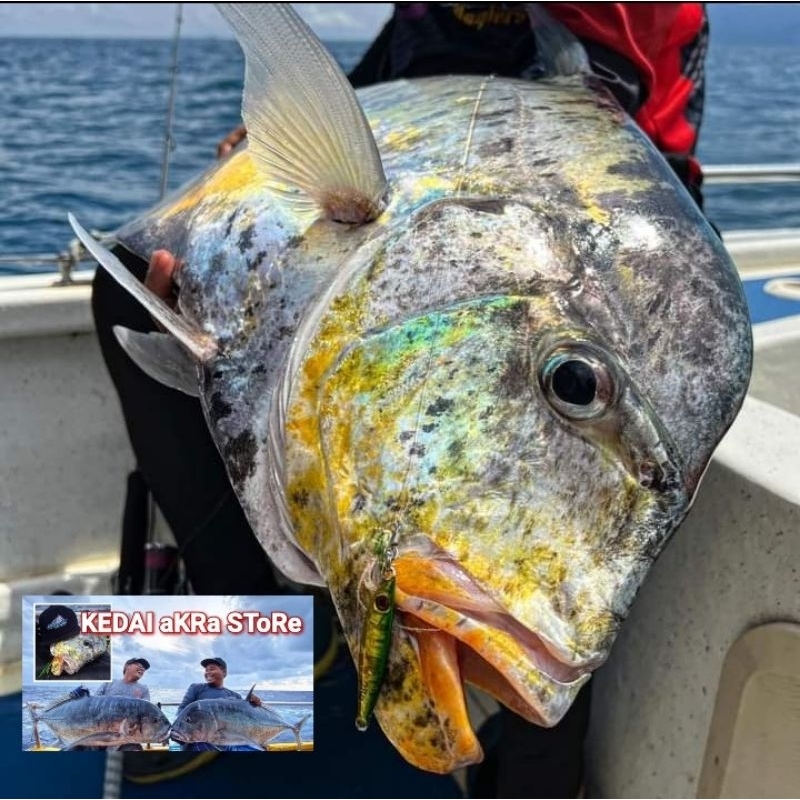 Akra Jig Tungsten 35g dan 45g | Shopee Malaysia
