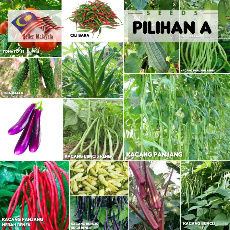 PILIHAN A 50 JENIS BENIH SAYURAN BERDAUN/BERBUAH/Vegetable Seeds ...