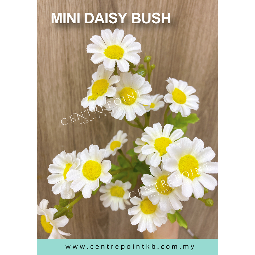 3 Branch Mini Daisy Bush | Shopee Malaysia